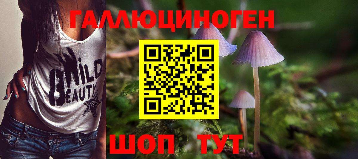наркотики  Вход с VPN  Пугачёв  Псилоцибиновые грибы Psilocybine cubensis  Псилоцибиновые грибы GOLDEN TEACHER 