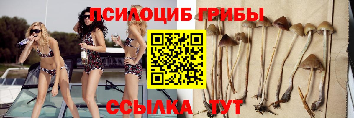 Конопля  КОКАИН  Вход с VPN  Цена  Alpha PVP СК кристаллы  МЕФ кристаллы  Пугачёв  ГАШ  Codein 