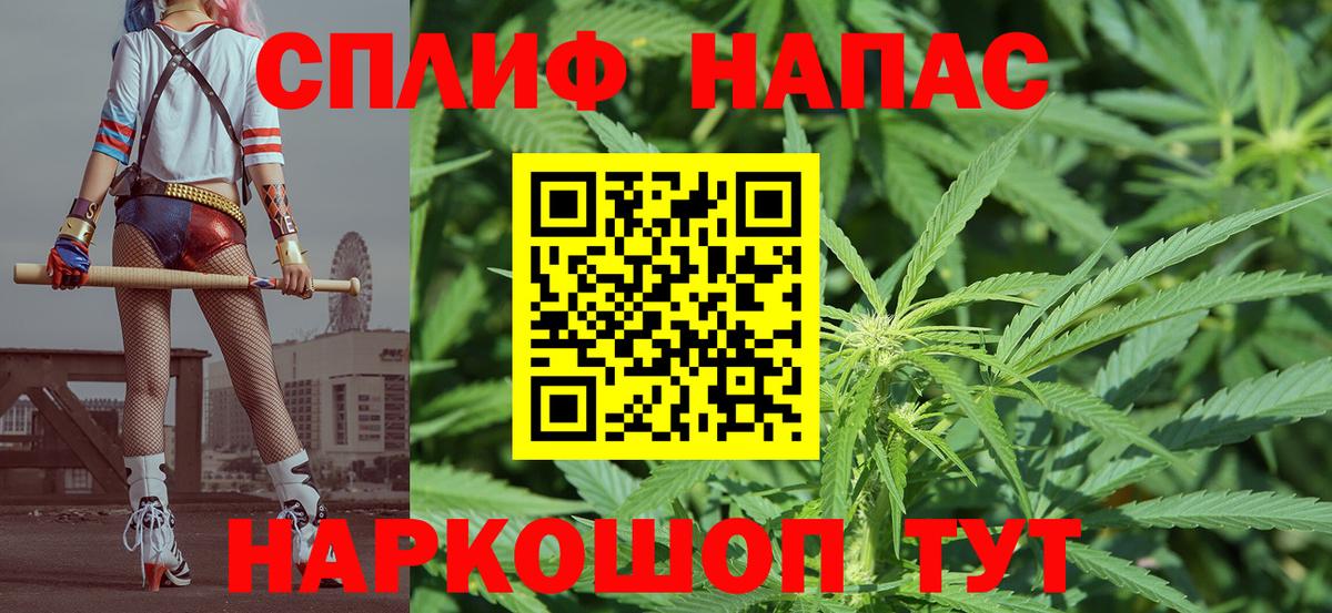 Каннабис White Widow  Вход с VPN  Бошки Шишки планчик  Пугачёв  МАРИХУАНА ГИДРОПОН  МАРИХУАНА планчик 